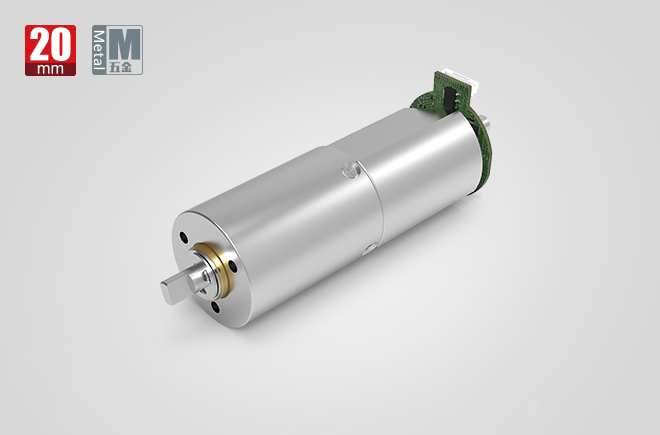 20MM����������